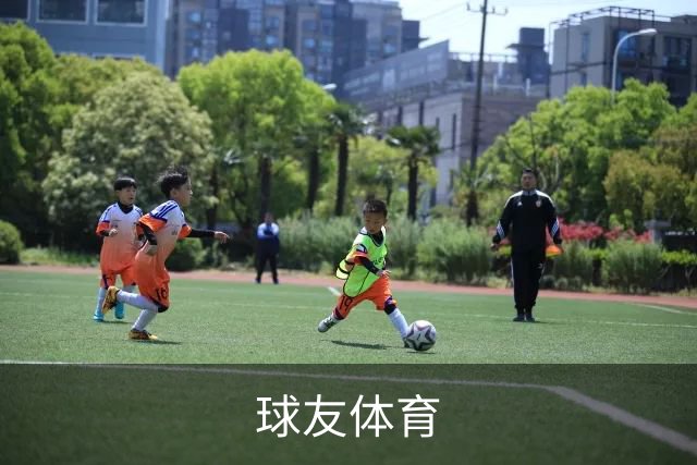 球友体育团队与服务环境